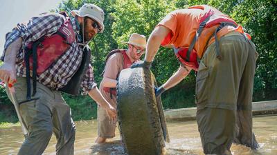 Stream Team members clear a tire from Plattin Creek, south of Festus.