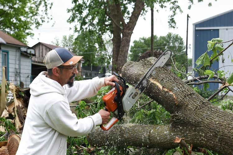 Robert Gari uses a saw to remove a fallen tree from his yard on Tuesday