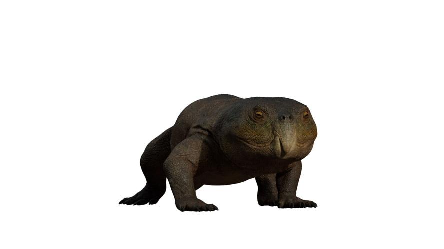 Parrot-beaked beast that lived with dinosaurs in Brazil may have Scottish relatives