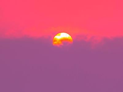 sunlightpurple_featured