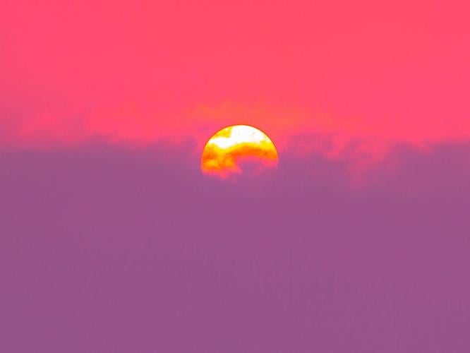 sunlightpurple_featured