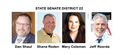 State Senate District 22 Aug. 2022 Election
