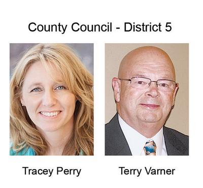 County Council - District 5.jpg