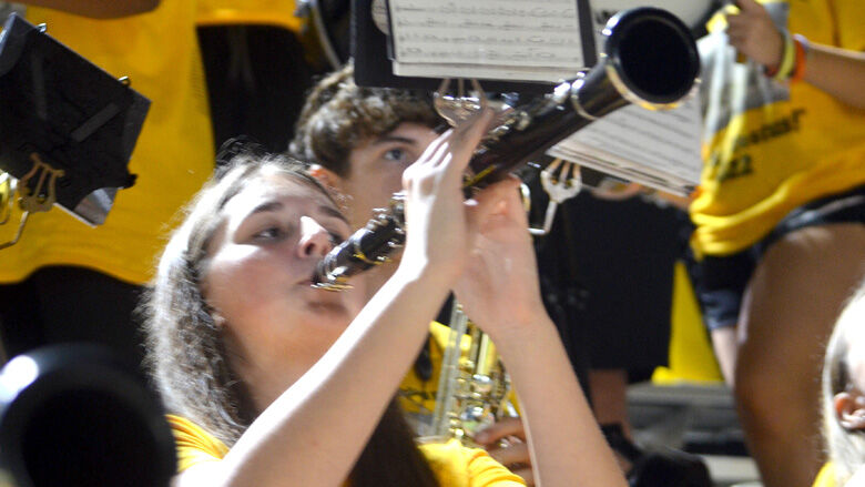 festus bands (7).JPG