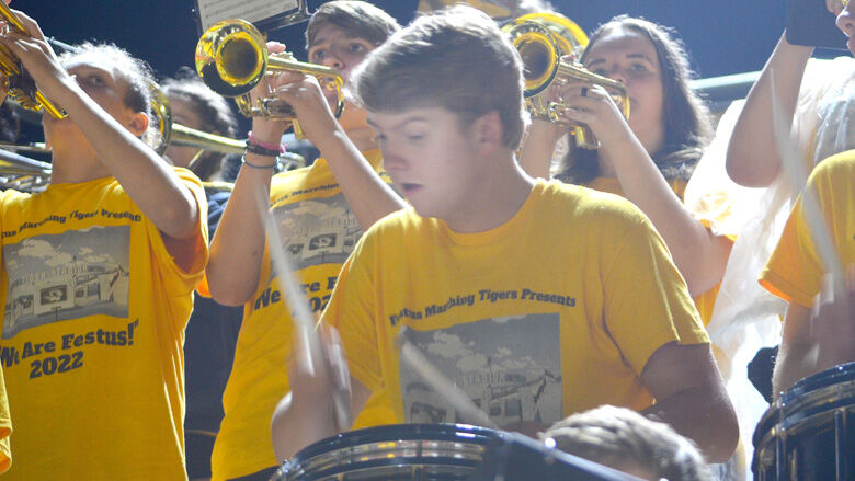 festus bands (8).JPG