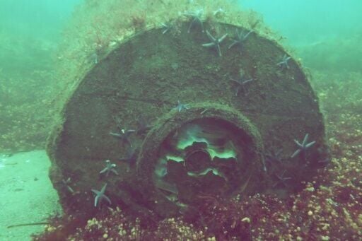 A WWII-era depth charge on the seafloor in a photo made available by the Kiel-based GEOMAR oceanographic research centre