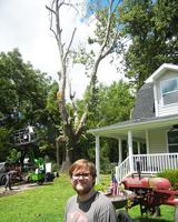 Correction: Removal of beloved Festus tree saddens owner, neighbor