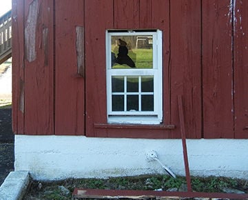 Vandals broke a window on a barn at West City Park in Festus.