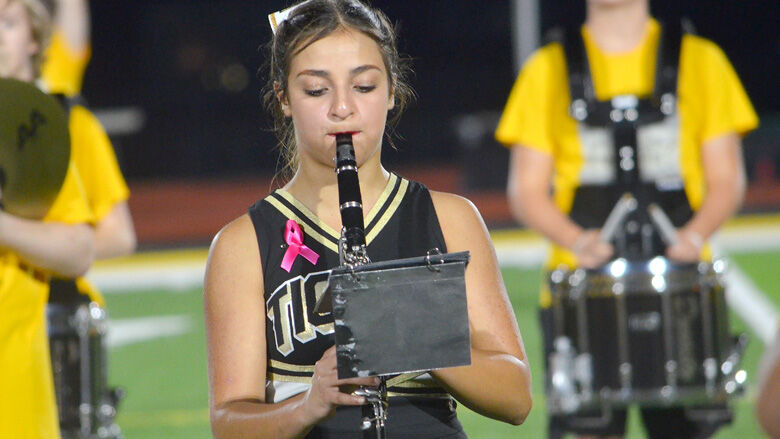 festus bands (13).JPG