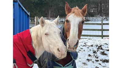 Noel, right, pictured with Spirit, suffered minor injuries to her eyes due to smoke exposure after a fire broke out at God’s Grace Animal Rescue.