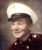 James E. McGraw, 84, Crystal City