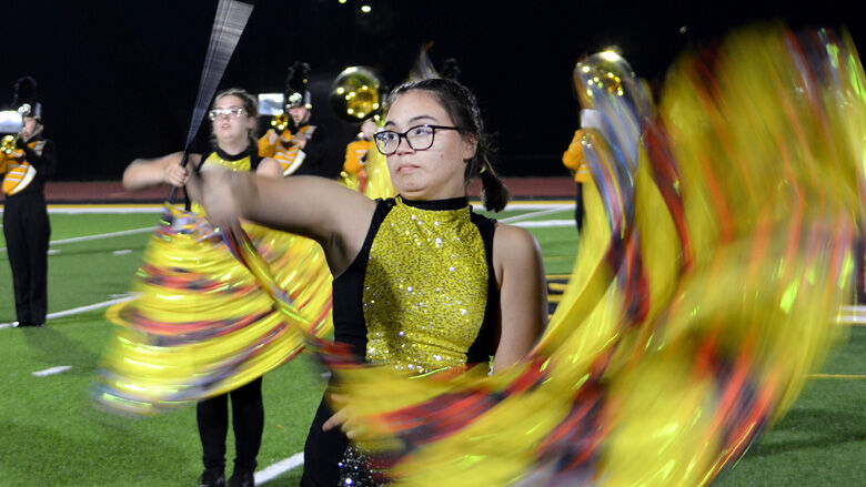 festus bands (1).JPG