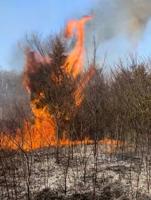 Area firefighters stay busy with brush fires, caution against burning