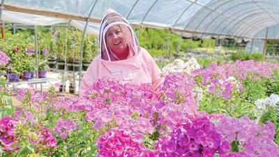 Julie Straatmann, Passiglia manager and buyer, prepares for her Supporting the Honeybee workshop.