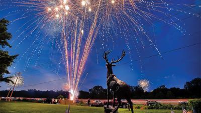 LMR_7034 corrected web.jpg