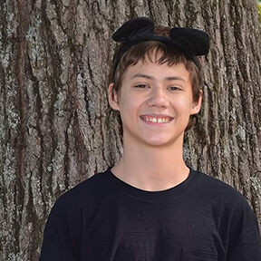 House Springs teen reported missing