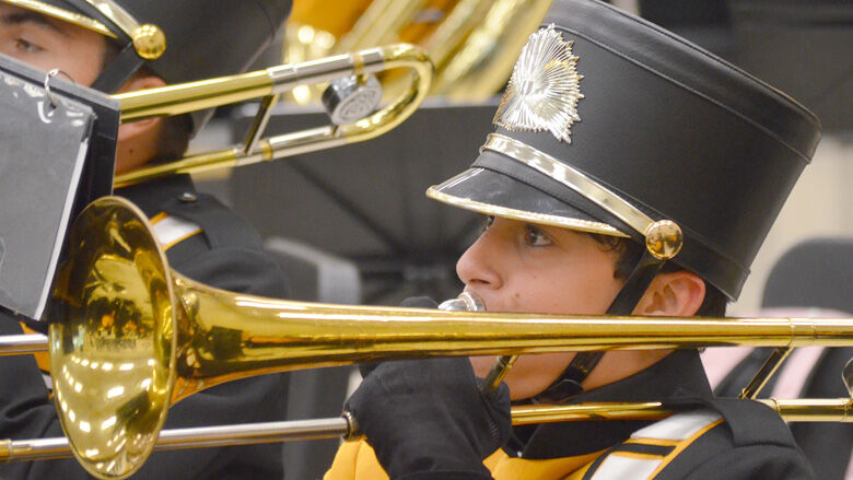 festus bands (3).JPG