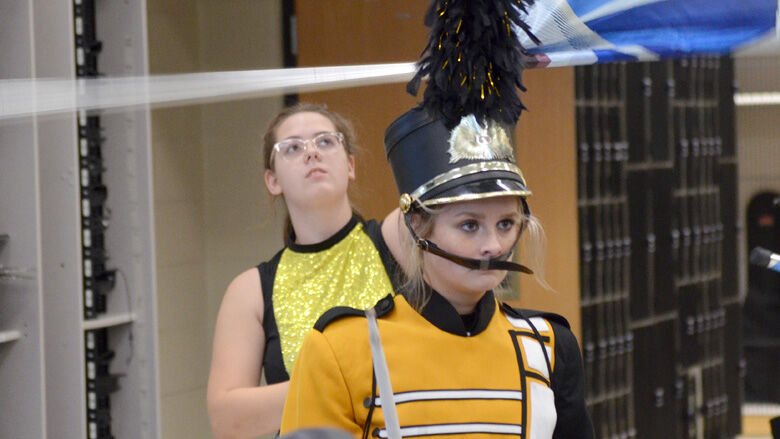 festus bands (4).JPG