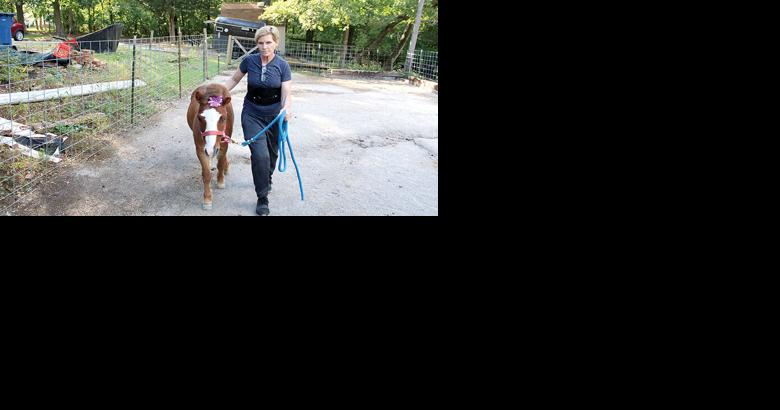 Byrnes Mill resident argues miniature horse service animal | Local News - Vimarsana News