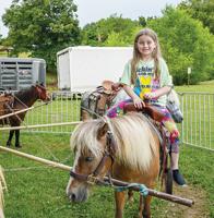 2025 Twin City Firecracker Festival