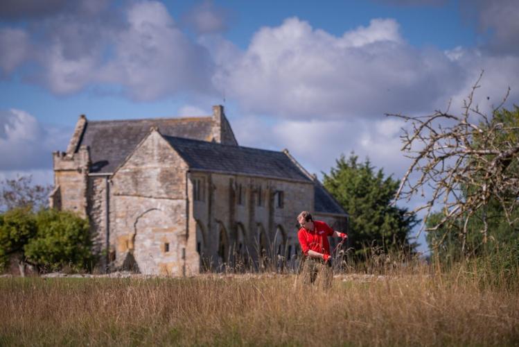 English Heritage using ancient scything methods to help protect rare bumblebee
