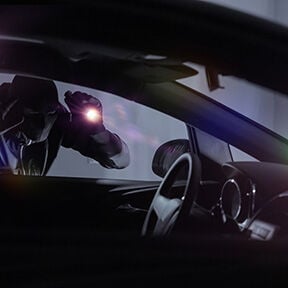 vehicle theft.jpg