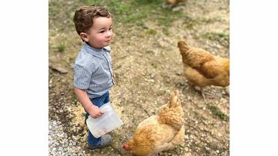 Ann Thone of Imperial took third place in the 2022 contest with this photo of her grandson, Henry Goldstein, then 1, having fun chasing chickens on Easter.