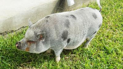 Sneak peek, Sept. 5, 2019