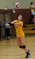 2018 Volleyball district brackets