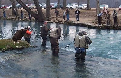 Missouri S Trout Fishing Opportunities Extend Well Beyond Opening Weekend Sports Myleaderpaper Com