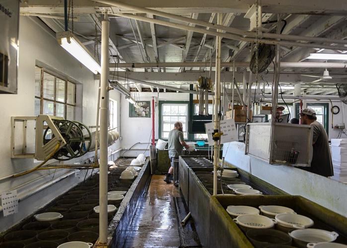 Dwaine Yoder transports a bucket of fish to be packaged for shipping
