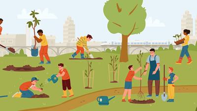 planting trees graphic