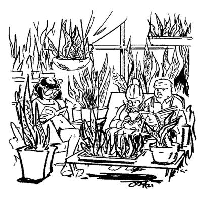 1-6-22 cartoon