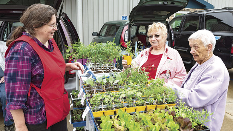 Ted Howell D4 -107.jpg