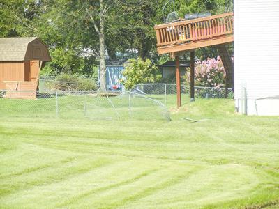 Alleged drunk driver damages deck, shed, fence at Festus home