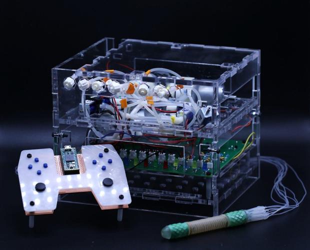 Snake-inspired soft robot could help diagnose and treat small intestine disorders
