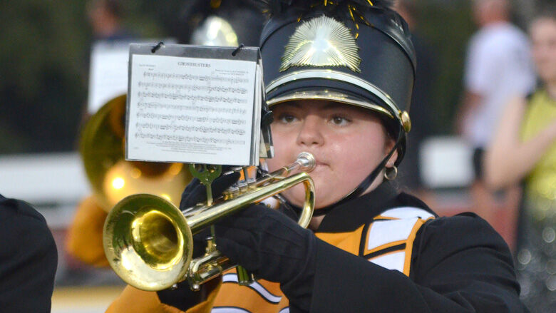 festus bands (17).JPG