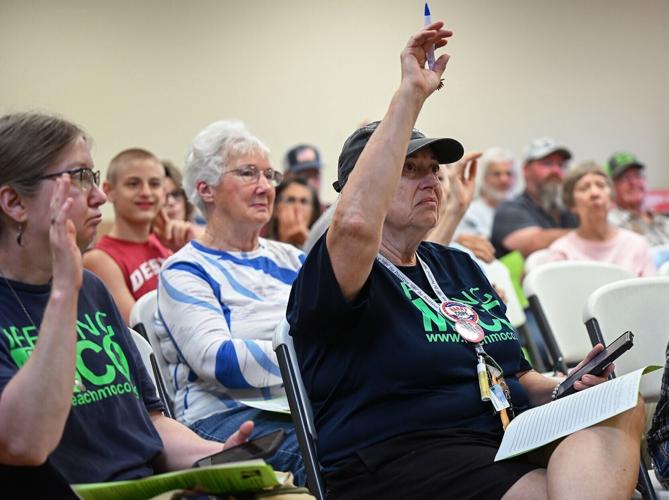Judy Batton votes for a measure proposed