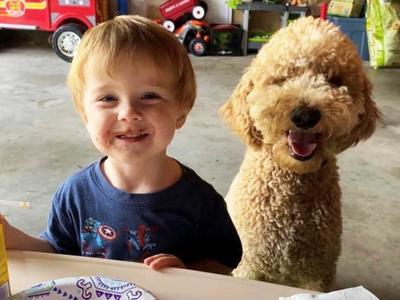 Rhett Smallegen of Festus and his family’s goldendoodle, Pete.