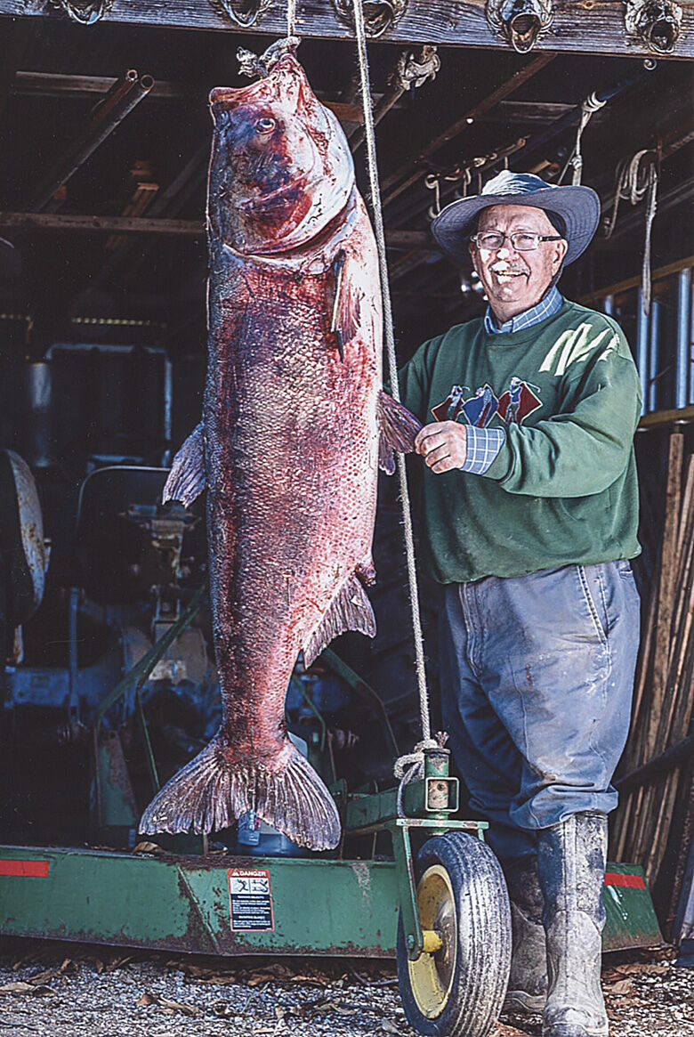 98-pound bighead carp caught along Mississippi River | Sports
