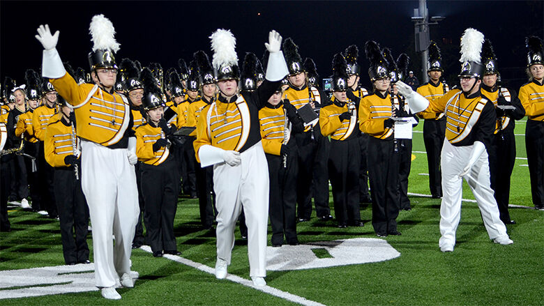 festus bands 3 (2).JPG