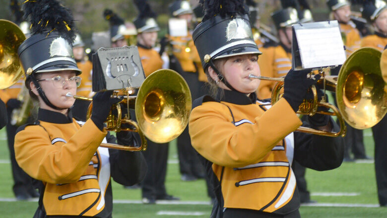 festus bands (19).JPG