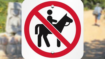 no horse riding.png