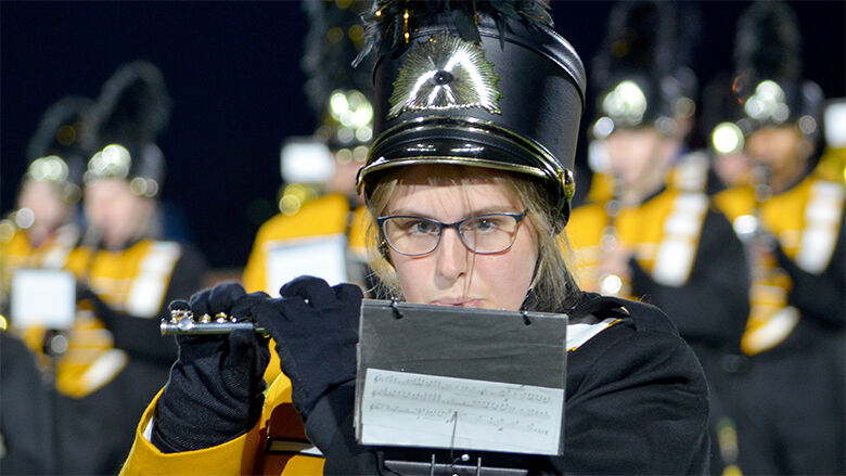 festus bands 3 (4).JPG