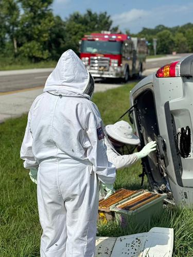 Cedar Hill Fire chief saves colony of bees let loose during traffic accident