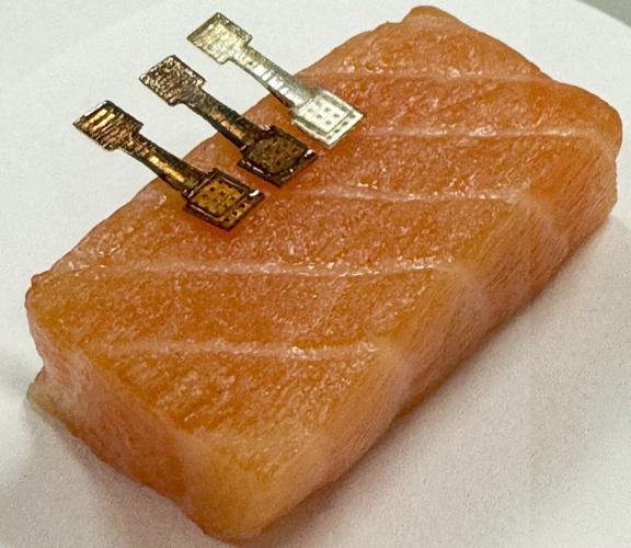 Simple sensor can determine exactly how fresh fish is within two minutes
