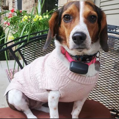 Tim and Debra Dismang sent in this photo of Baby taken in early March on the front porch of their Imperial home.