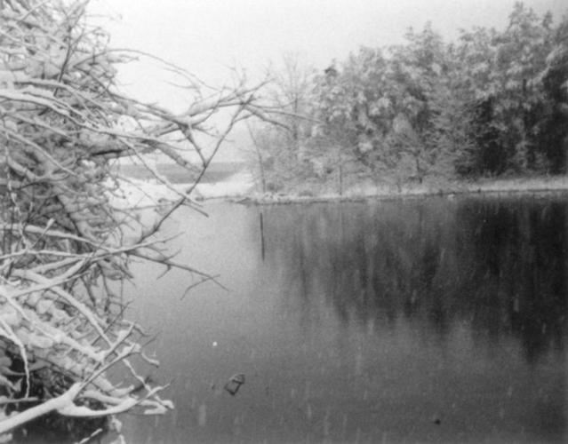Looking Back To the springs in House Springs Looking Back