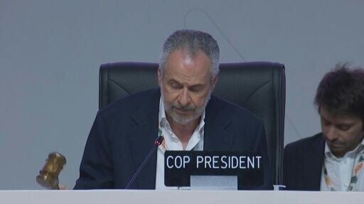 Nearly 200 countries have adopted a modest agreement at the COP30 climate summit in Brazil