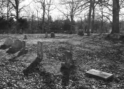 A graveyard in Victoria